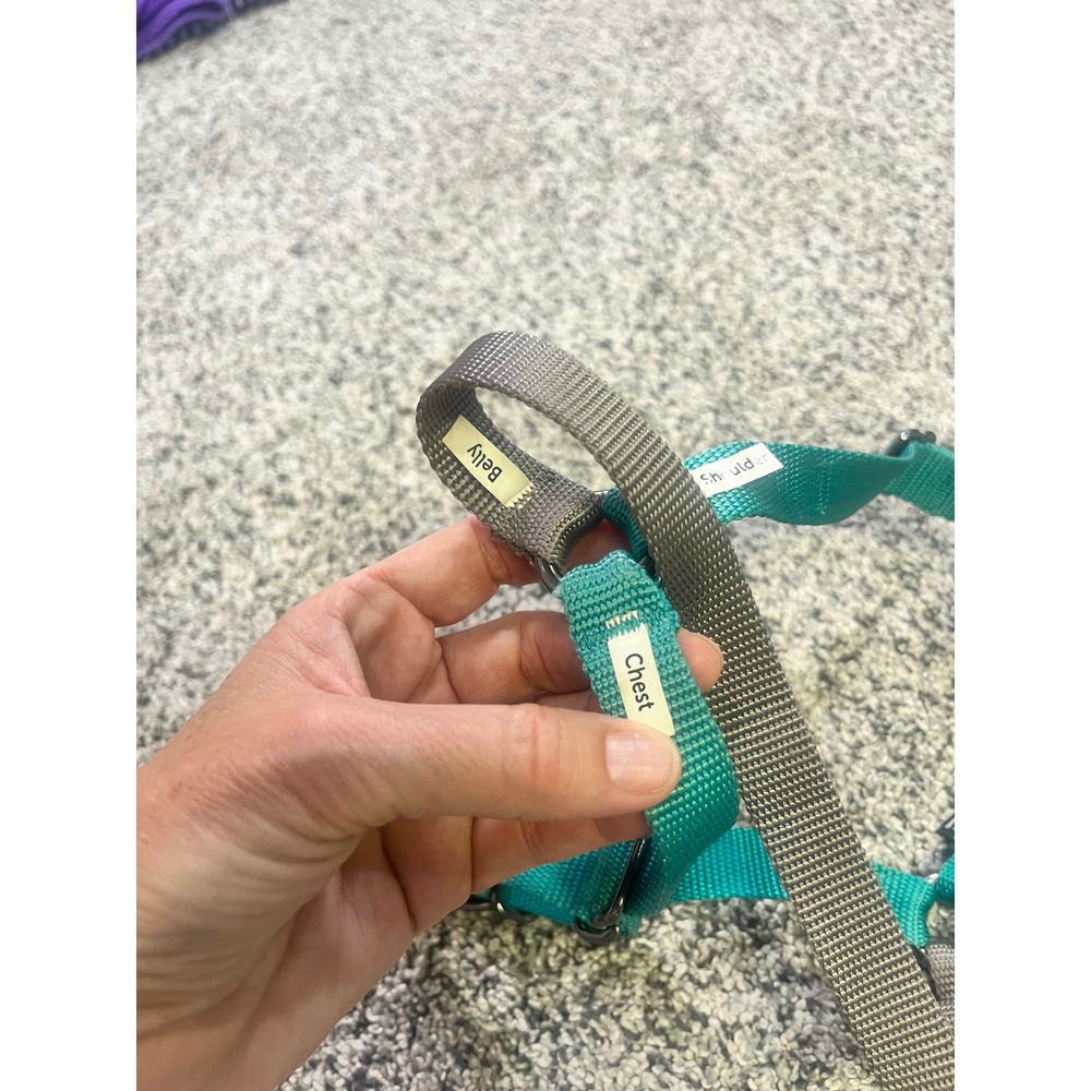 PetSafe Easy Walk No Pull Dog Harness Medium Teal Gray Adjustable Training Gear - Picture 7 of 7